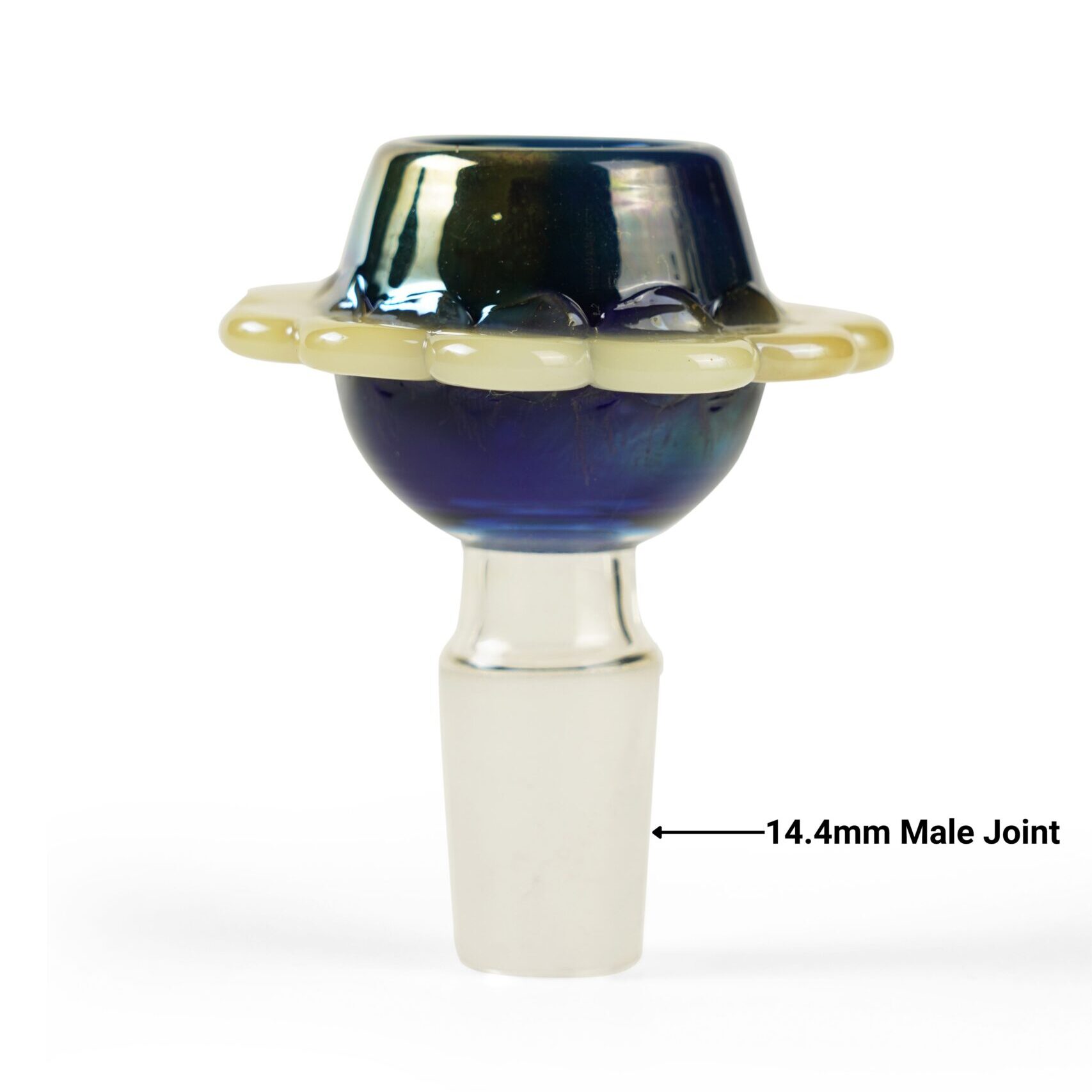 Infographic Image (1)